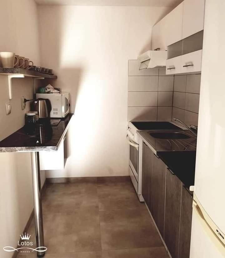 Apartament Lotos Затор Екстериор снимка